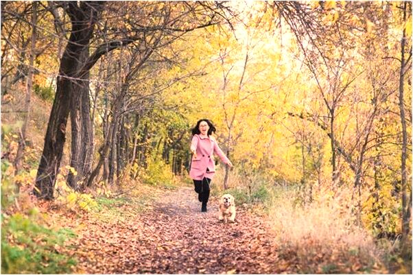 夢到了媽媽生日收到花圈是不是好的徵兆呢_周公解夢官網