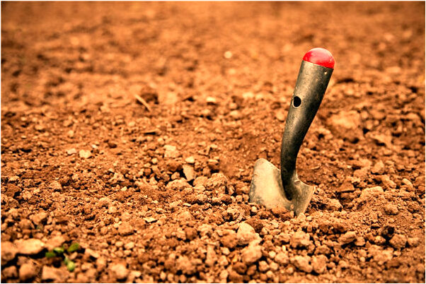 夢見半死半活鴨子是啥意思_周公解夢官網