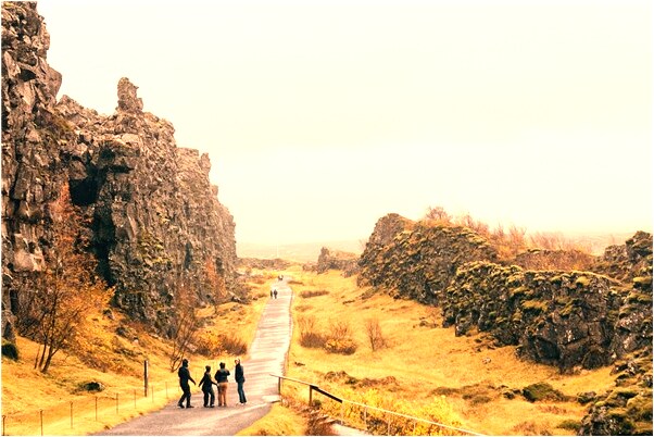 夢到了女兒在叫我是什麼兆頭_周公解夢官網