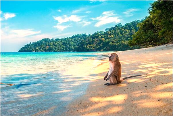 夢到了老婆送衣服給我會是什麼預兆_周公解夢官網