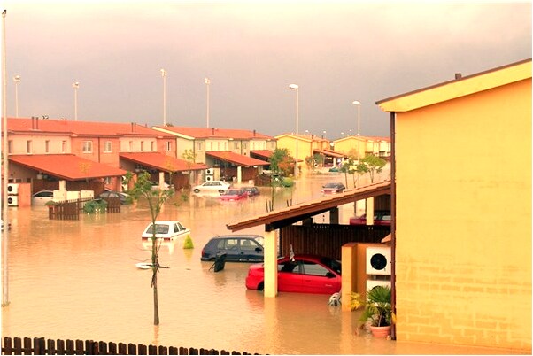 夢見白黑色兔子在我床上意味什麼_周公解夢官網