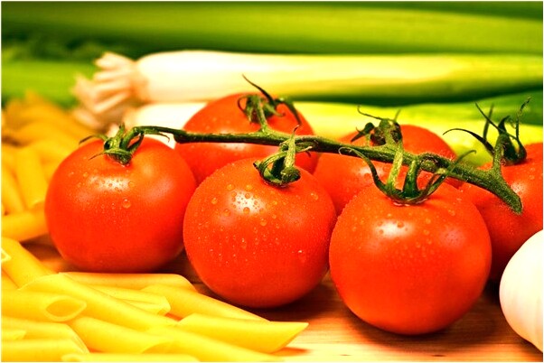 夢見我的床左下邊住著一條白蛇好不好_周公解夢官網