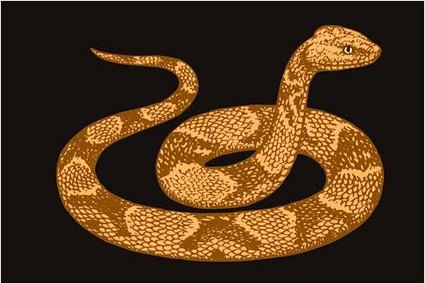 夢到折柳枝代表著什麼？_周公解夢官網