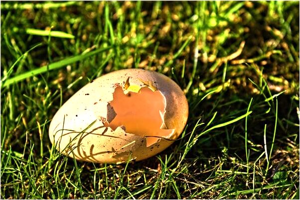 夢到小時候的自己是好的徵兆嗎_周公解夢官網