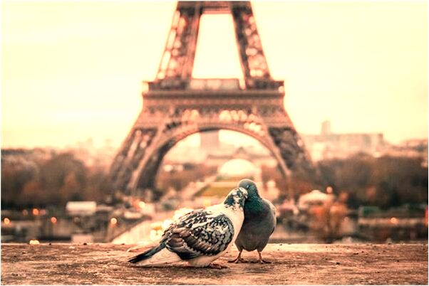 夢到了我哥我姐是什麼預兆_周公解夢官網