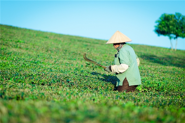夢見五一勞動節是凶兆還是吉兆_周公解夢