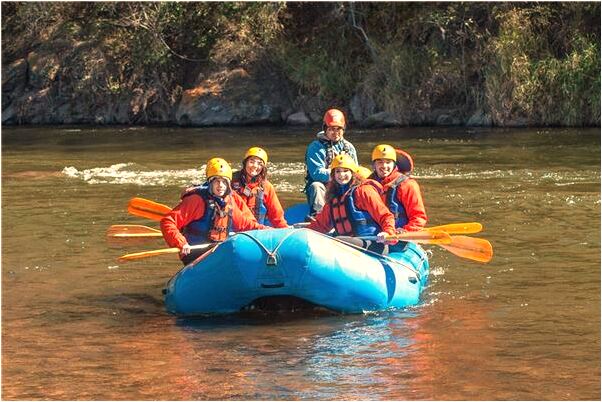 夢到和同事陪客戶看商鋪有什麼意思_周公解夢官網