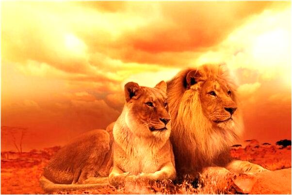 夢見小孩給我拉了一身屎是什麼預兆_周公解夢官網