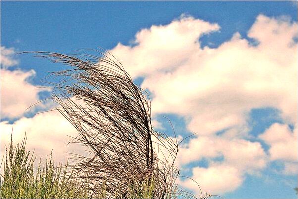 夢見月經來流血到褲子上什麼寓意_周公解夢官網