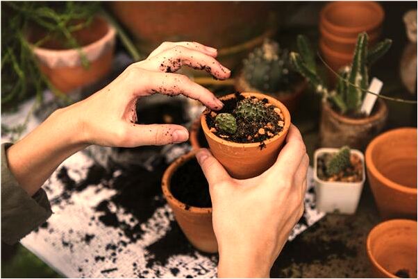 夢到了被煮了是什麼預兆_周公解夢官網