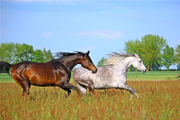 1990年屬什麼？_十二生肖