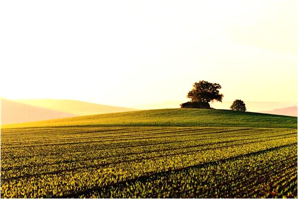夢到夢河裡漲特大水是好是壞_周公解夢官網