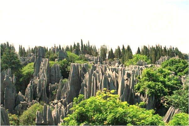 夢見自己和男友訂婚了有什麼寓意嗎_周公解夢官網