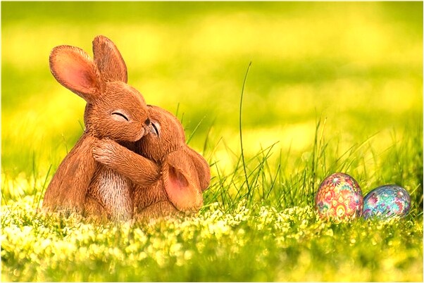 夢到了抓到好多大蝦是不是好的徵兆呢_周公解夢官網