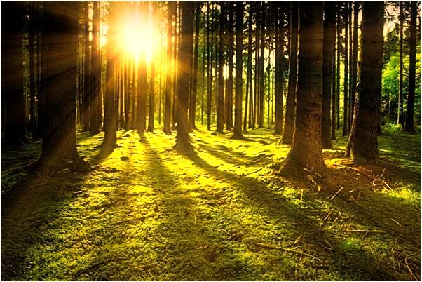 夢見背小姨後來和她做愛有什麼預示嗎_周公解夢官網