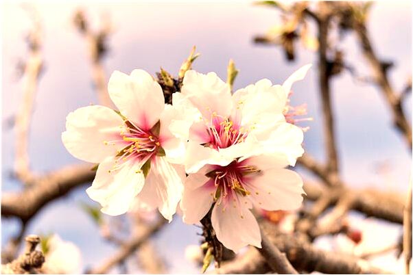 夢到自己被狙擊手攻擊是什麼意思？_周公解夢官網