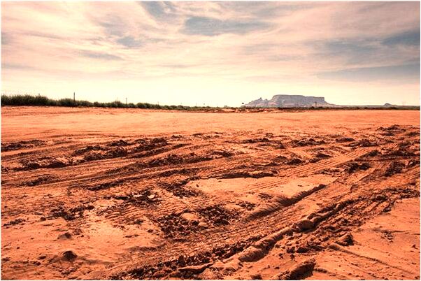 夢到了所有的親戚怎么說_周公解夢官網