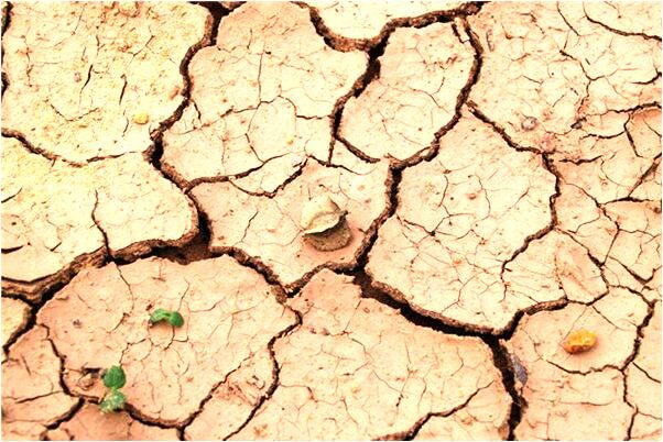 夢到天天在一起工作的男人有什麼預兆_周公解夢官網