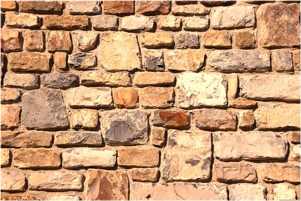 夢到了捉住了幾隻鳥怎么樣_周公解夢官網