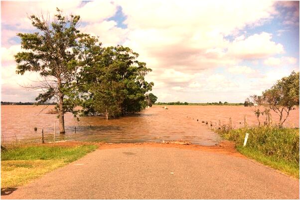 夢到了父母跟小時候一樣不要我是什麼啟示_周公解夢官網