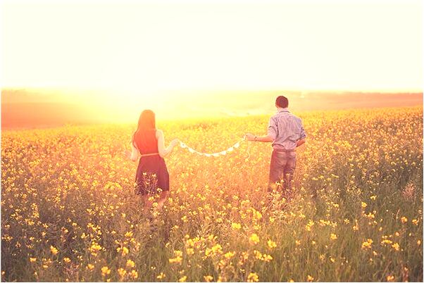 夢到了狼原因代表什麼_周公解夢官網