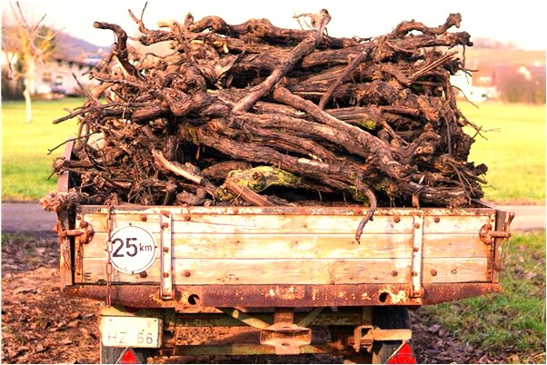 夢見很多人被箭射到什麼預兆_周公解夢官網