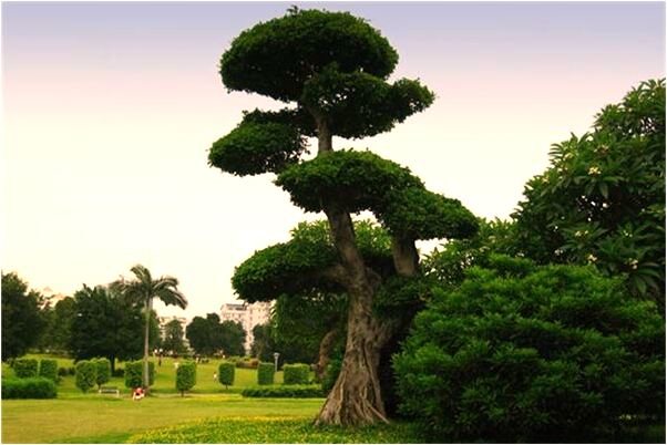 夢到樓下有人上吊自殺預示什麼_周公解夢官網