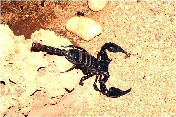 夢見自己跟同學考試都未考好是什麼徵兆_周公解夢官網