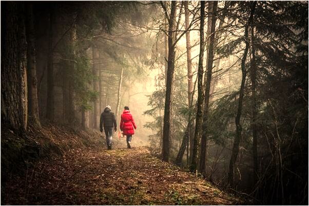 夢到我半夜牽著一隻羊代表著什麼_周公解夢官網