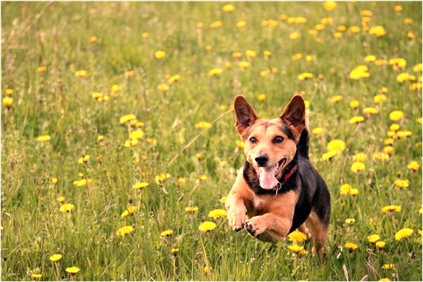 夢見不能上學了是好事還是壞事_周公解夢官網
