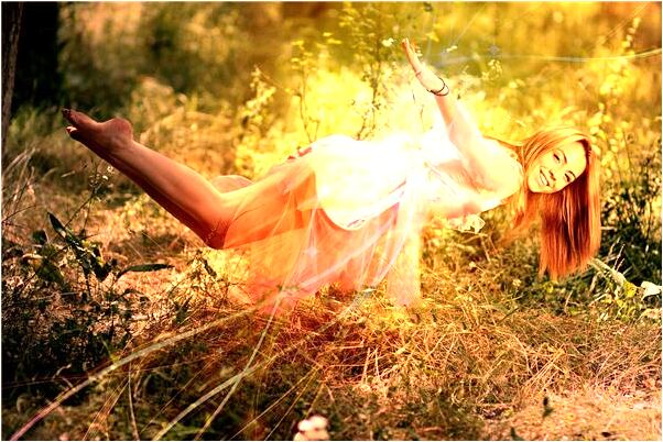 夢見對著樹拍照會是什麼預兆_周公解夢官網