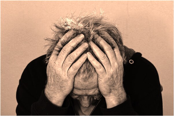 夢到和老公在買狗肉有什麼含義_周公解夢官網