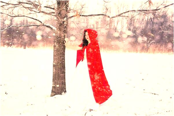 夢到了養了一隻大黑狗和小貓意味著什麼_周公解夢官網