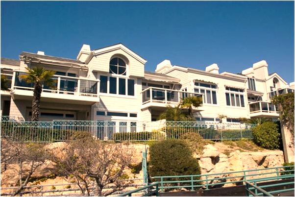 夢到了玉米沒成熟是什麼意思_周公解夢官網