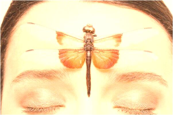 夢到被朋友抓住代表著什麼？_周公解夢官網