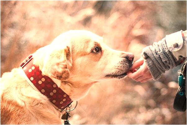 夢見在沙土裡撿到兩雙皮鞋是什麼預兆？_周公解夢官網