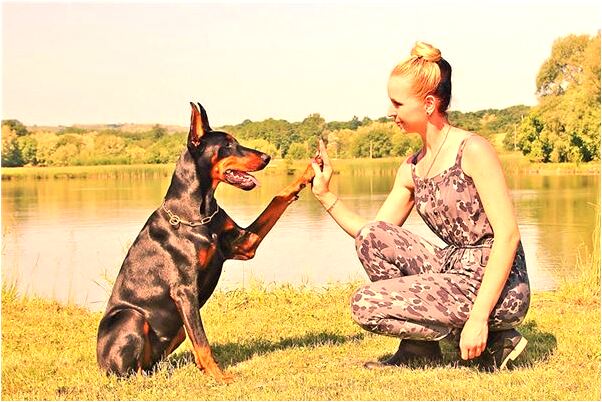 夢到了卡里好多錢預示什麼_周公解夢官網