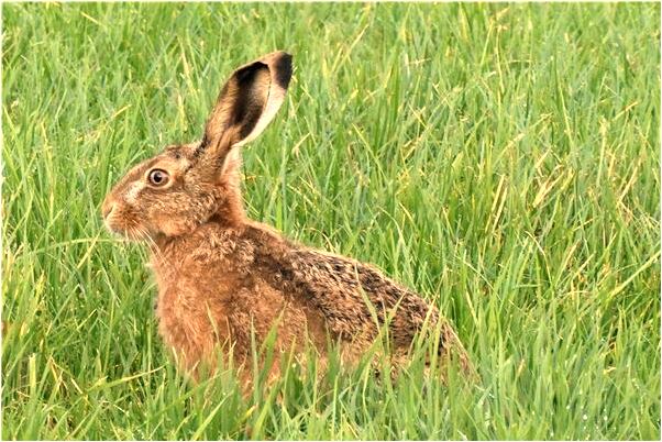 夢見住在墳墓里是什麼預兆_周公解夢官網