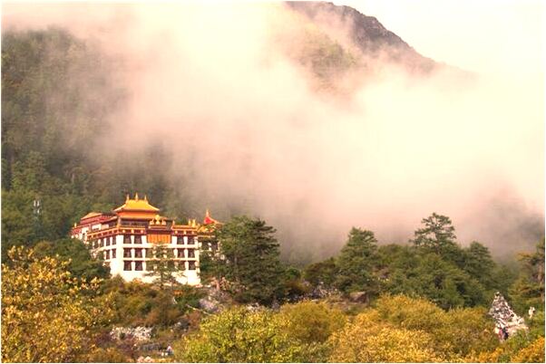 夢見已去世的婆婆給孫女錢是什麼啟示_周公解夢官網