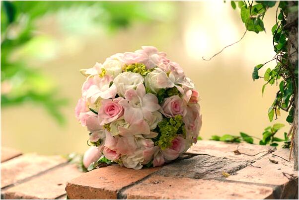 夢到天上掉下很多死動物是啥預兆_周公解夢官網