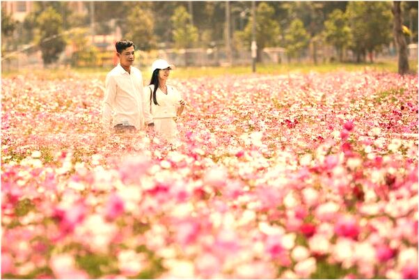 夢到了有人脫我褲子是什麼意思_周公解夢官網