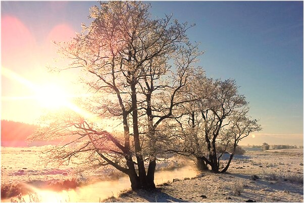 夢到從床上下地是好事還是壞事_周公解夢官網