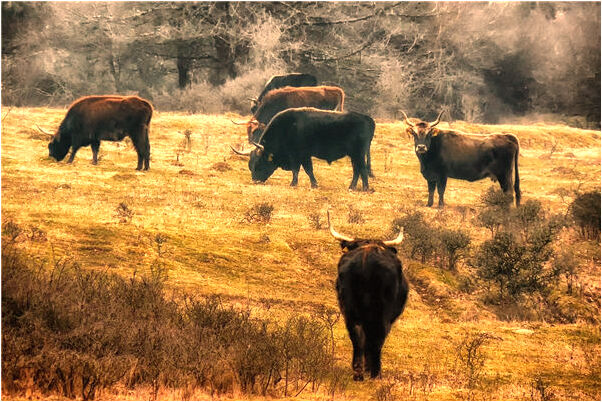 夢到了和死去得人一起吃飯有什麼意義嗎_周公解夢官網