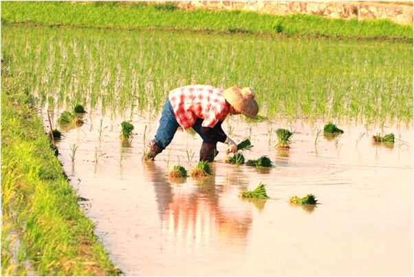 夢見大的寺廟是怎么回事_周公解夢官網