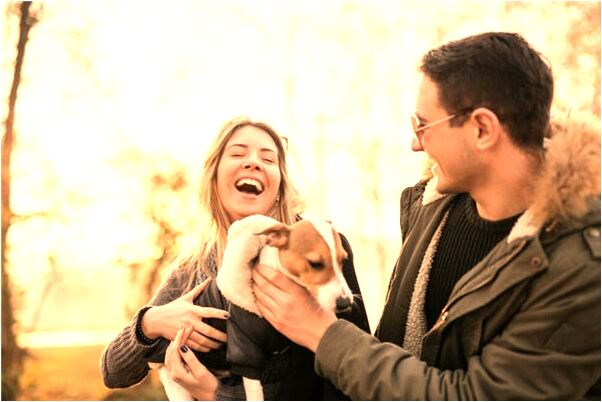 夢到殺不死烏龜是咋回事_周公解夢官網