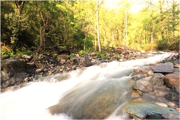 夢到了挖土救人有什麼寓意嗎_周公解夢官網