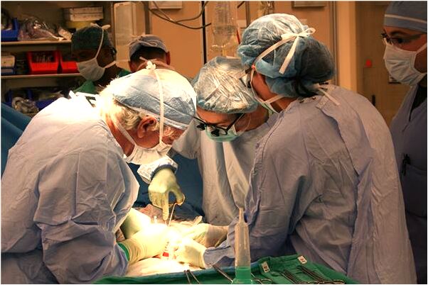 夢到人型火龍果是凶兆還是吉兆_周公解夢官網