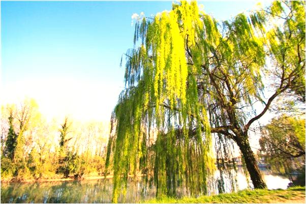 夢到了自己喜歡的人和自己在一起怎么說_周公解夢官網