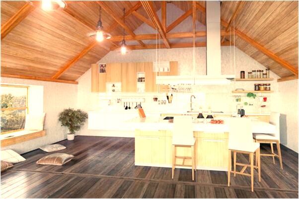 夢到了撿到烏龜被同事丟了是咋回事_周公解夢官網