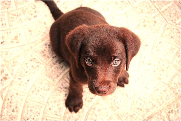 夢見男人殺我有什麼寓意嗎_周公解夢官網